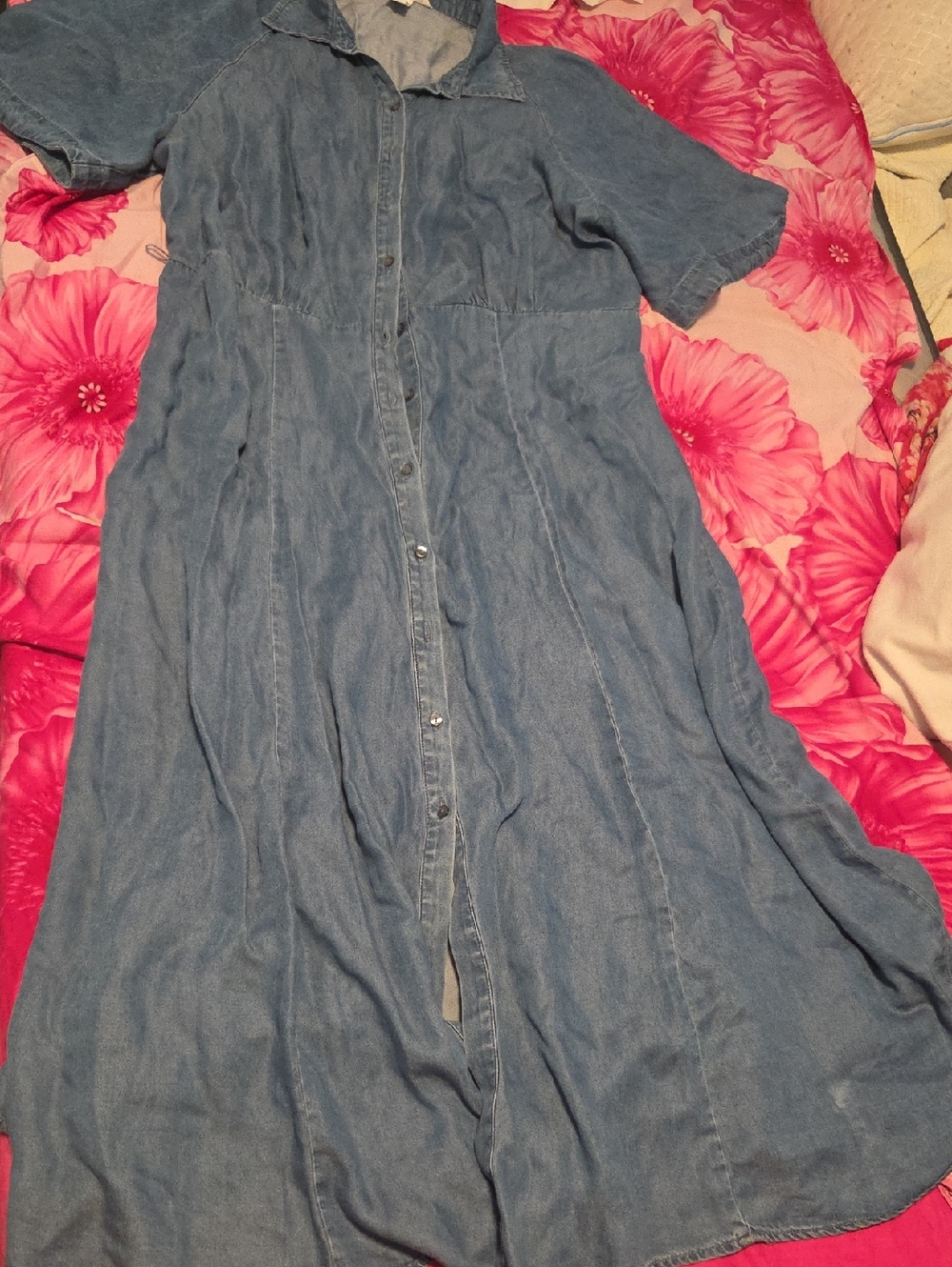 H&M Blue Denim Maxi Button-Front Dress
